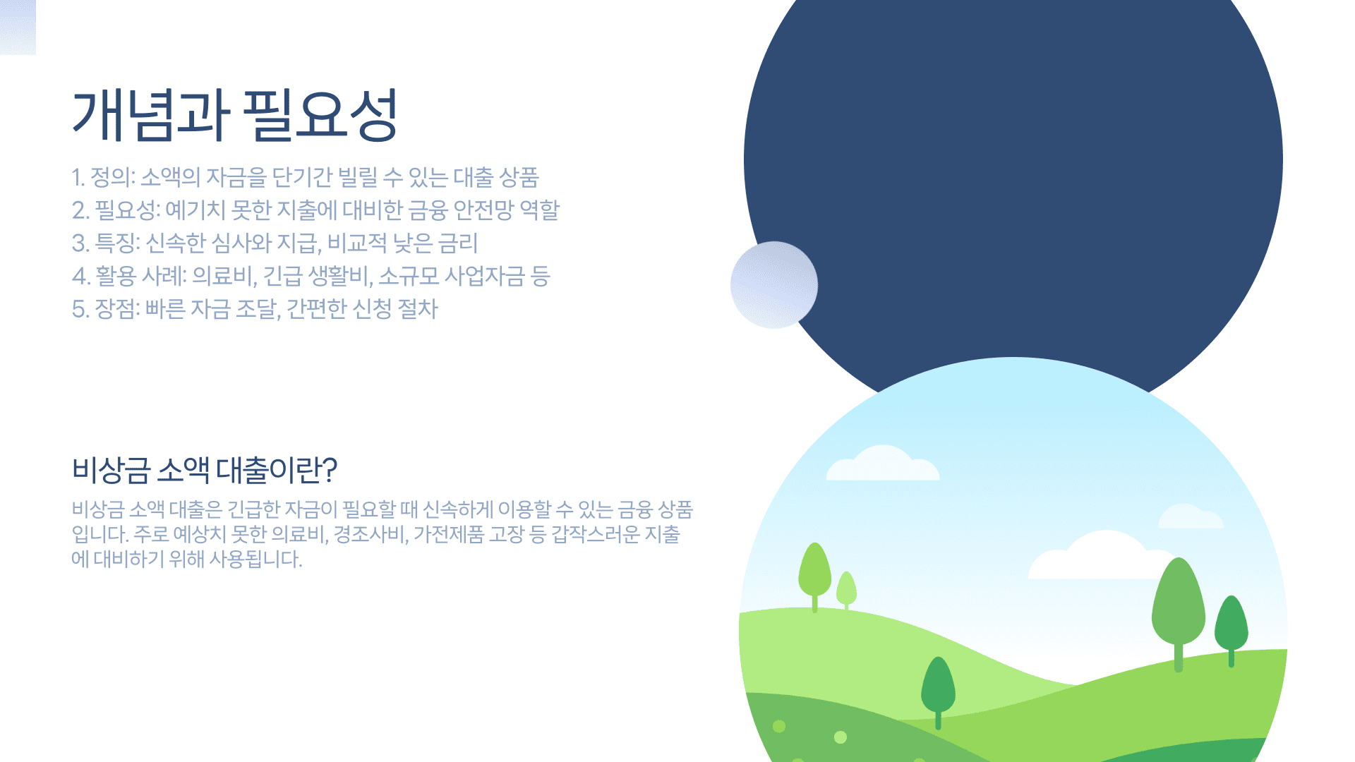 비상금 대출 개념과 필요성